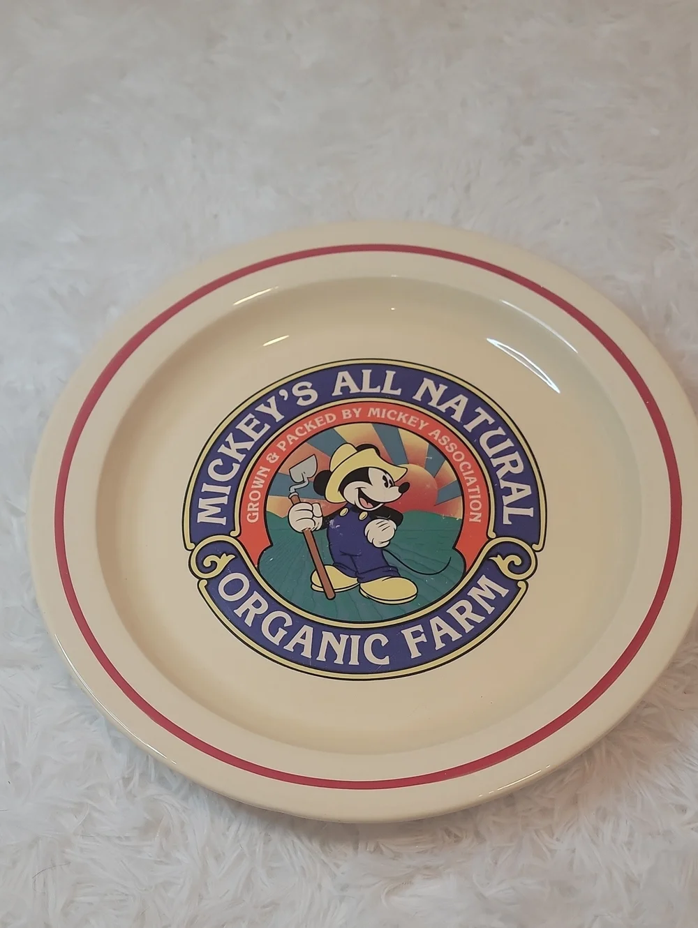 Disney's Mickey Organic Farm Ceramic Serving Plate - 13.5